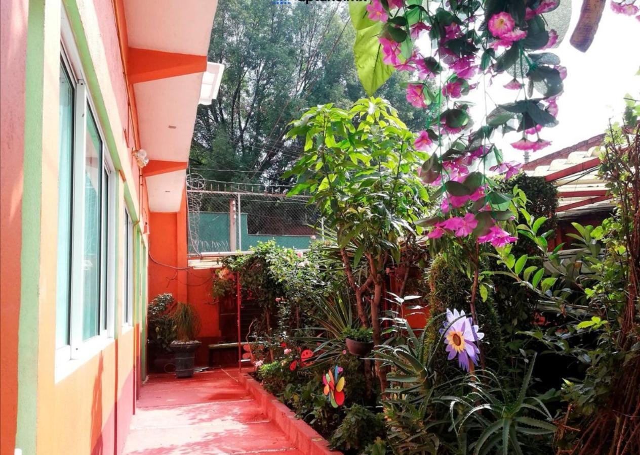 Hermoso Depa De 3 Recamaras Y 2 Banos En El Centro De Coyoacan Apartment Mexico City Exterior photo