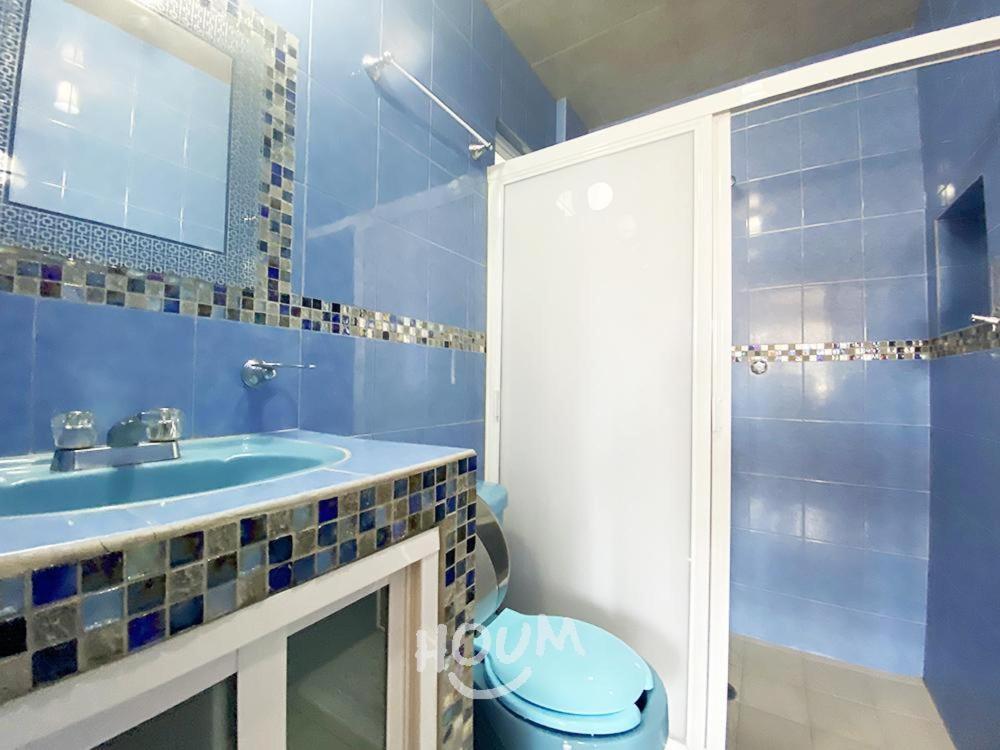 Hermoso Depa De 3 Recamaras Y 2 Banos En El Centro De Coyoacan Apartment Mexico City Exterior photo
