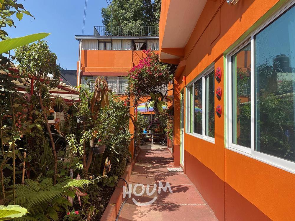 Hermoso Depa De 3 Recamaras Y 2 Banos En El Centro De Coyoacan Apartment Mexico City Exterior photo