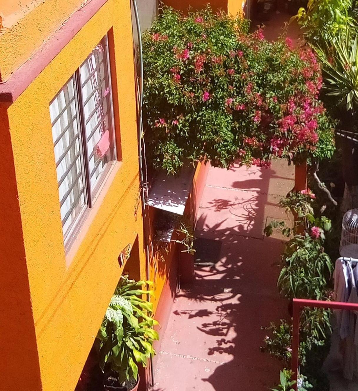 Hermoso Depa De 3 Recamaras Y 2 Banos En El Centro De Coyoacan Apartment Mexico City Exterior photo